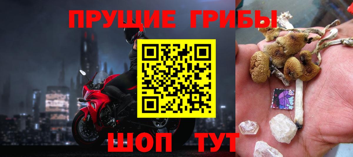 купить  цена  Псилоцибиновые грибы MAGIC MUSHROOMS  Губаха  Вход с VPN  Галлюциногенные грибы Magic Shrooms 